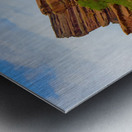 Red Rocks Morrison Colorado Impression metal