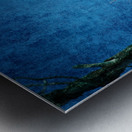 Bald Eagle Blues Into Night Metal print