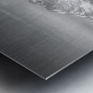 St Vrain Ponds Longs Peak View In Black and White Metal print