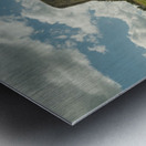 Texas Longhorn Cows Gracefully Posing at Majestic Devils Tower Impression metal