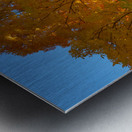 Stunning Autumn Tree Sunlight Through Colorful Leaves Impression metal