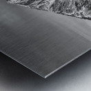 Rocky Mountain Autumn High In Black and White Impression metal