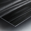 Aspen Trees Dreaming Black and White Abstract Metal print