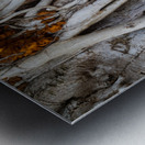 Magnificent and Colossal Intertwined Tree Metal print