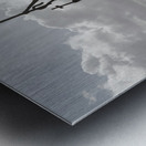 Legend of La Rogativa Poster Postcard Metal print