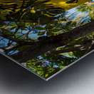 Labadee Haiti Island Vibes Metal print