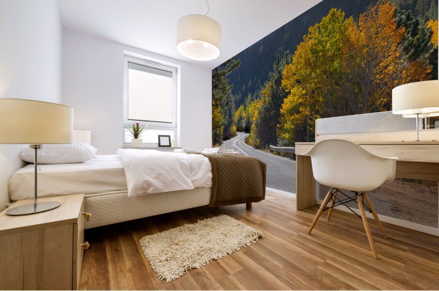 Autumn Journey: Winding Through Boulder Countys Canyon Splendor Mural print