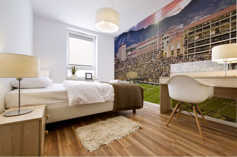 University of Colorado Boulder Go Buffs Mural print