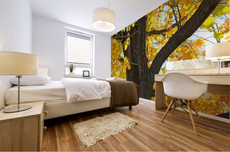 Golden Giggles   When Autumn Leaves Steal the Spotlight Impression murale