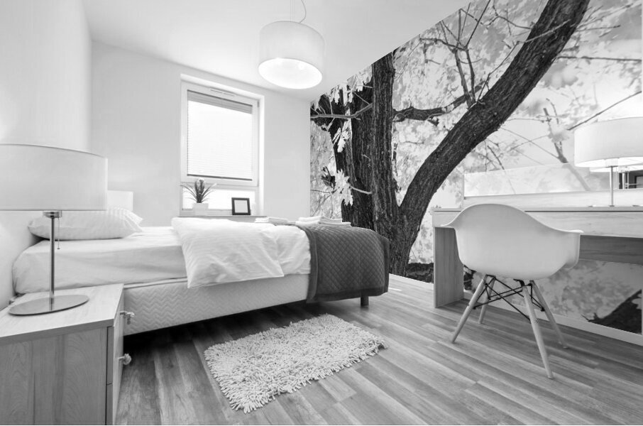 Branching Out in Timeless Black and White Elegance   Impression murale