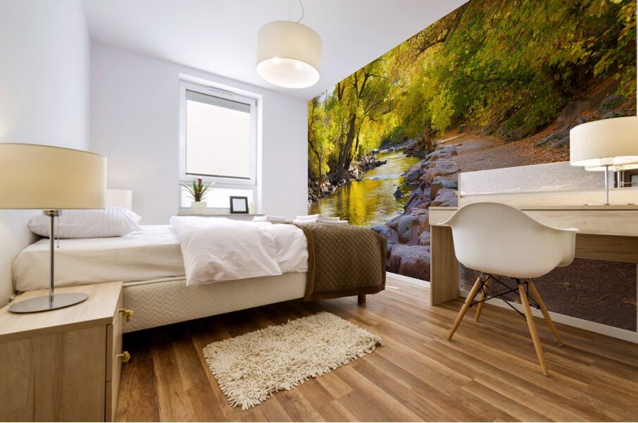 Boulder Colorado City Walk Mural print