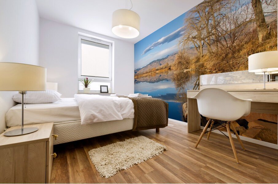 Colorado Rocky Mountain Lake Reflection View Mural print