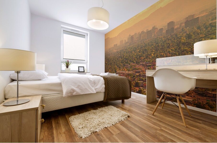 Phoenix Valley Of The Sun Mural print
