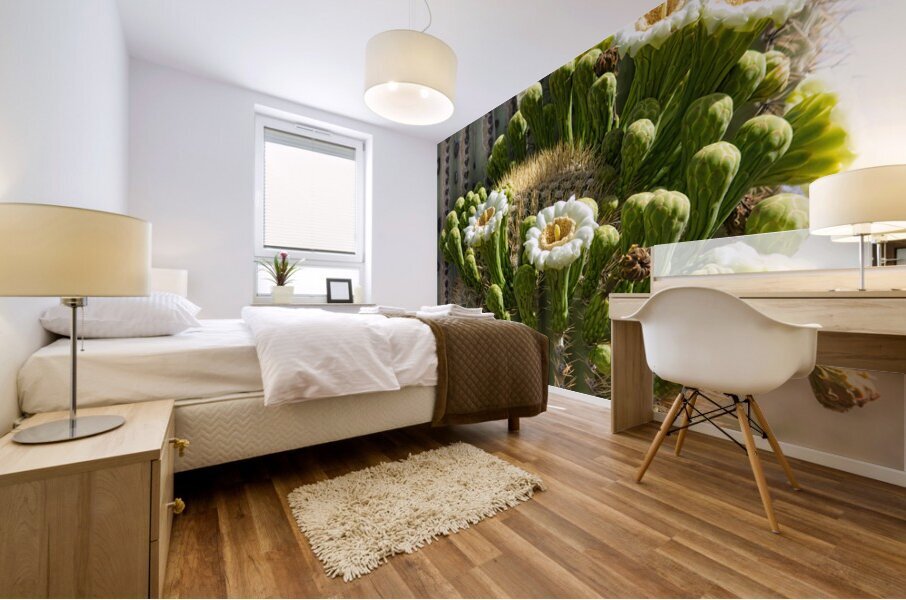 Saguaro Cactus Bloom Impression murale