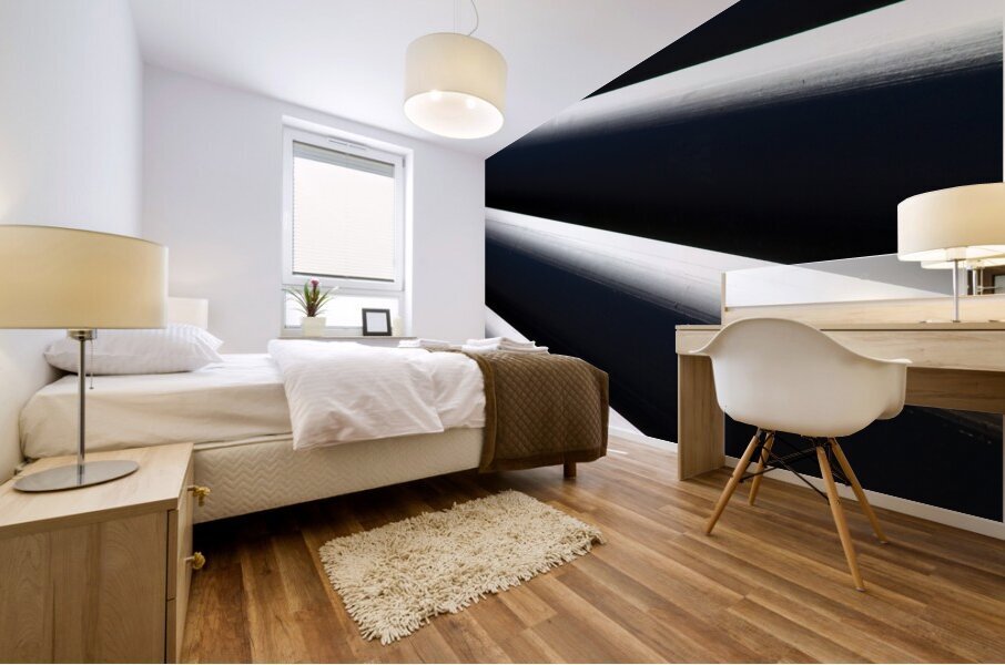 Shadow and Light  1 Impression murale