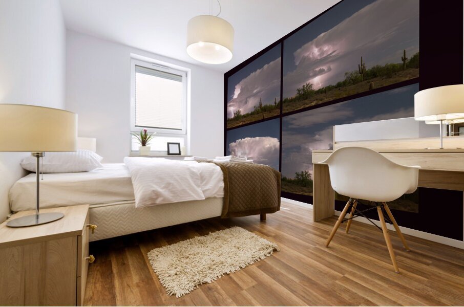 Storming Sonoran Desert Impression murale