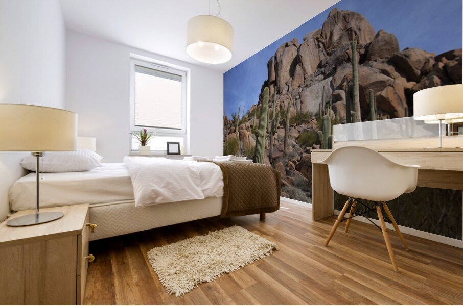 Scenic with Big Boulders Towering Giants of the Sonoran Desert Mural print