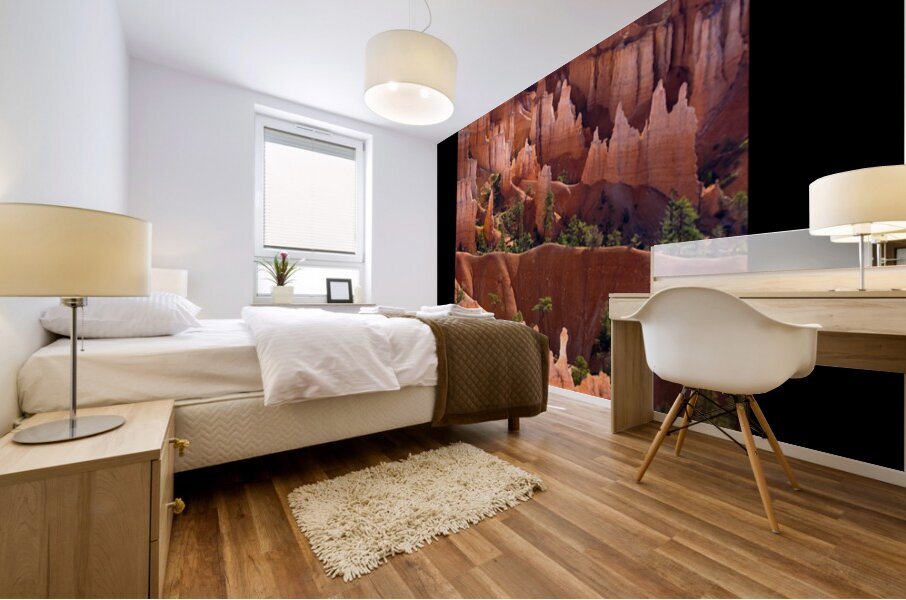 Bryce Canyon Utah Hoodoos Glowing in Desert Light Mural print