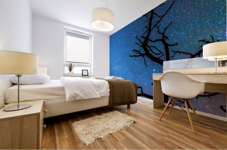 Starry Night Sky with Silhouette Tree Mural print