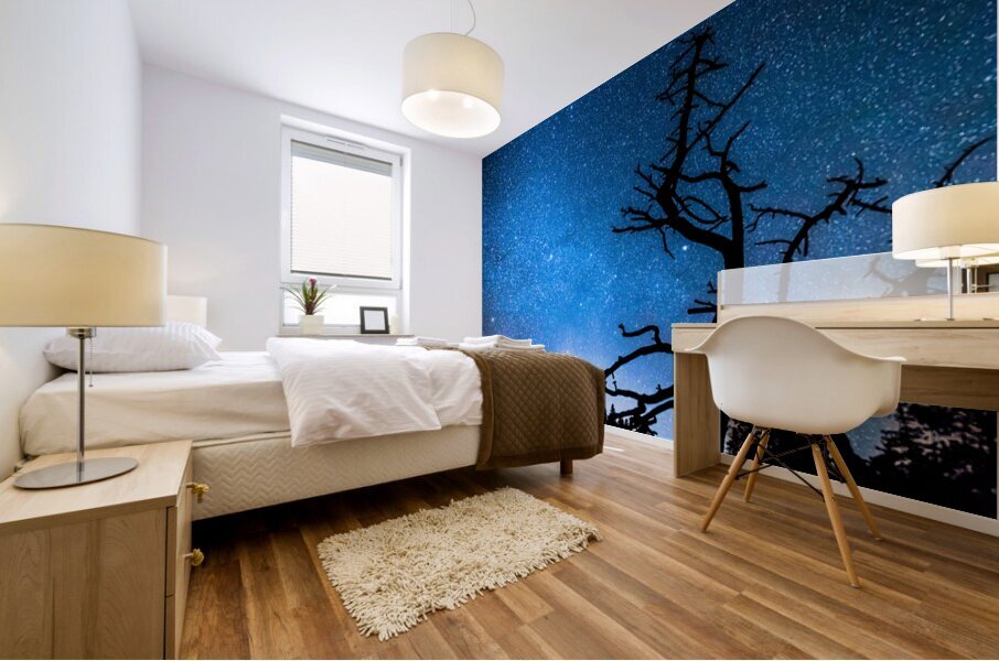 Starry Night at Bryce Canyon Impression murale