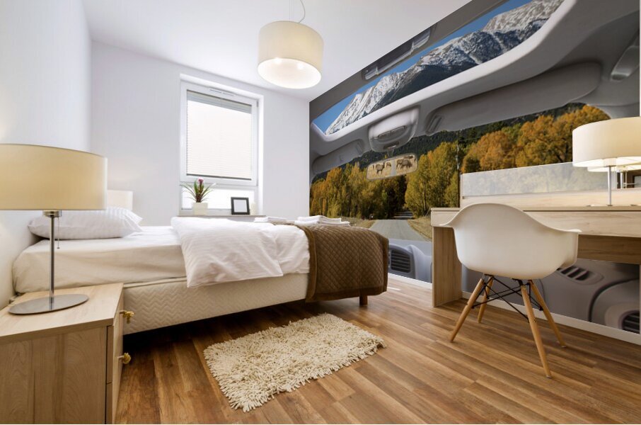 Colorado Road Trip View Snowy Peaks Golden Aspen Mural print