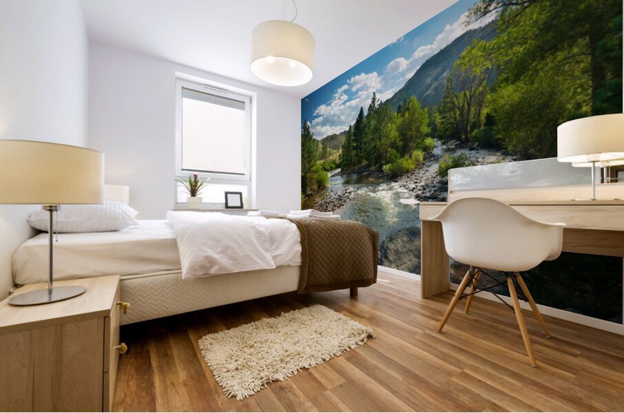Cache la Poudre River Islands in the Stream Mural print