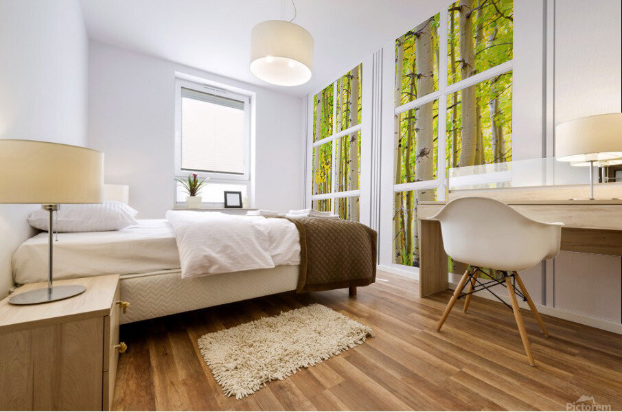 Aspen Forest White Picture Window Frame View Impression murale