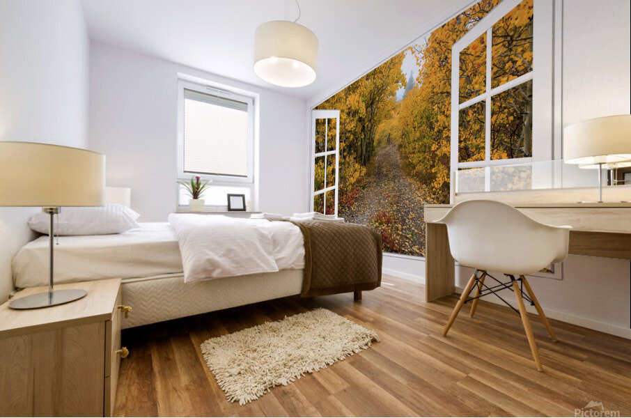 Colorful Trees Down the Drive White Open Window Mural print