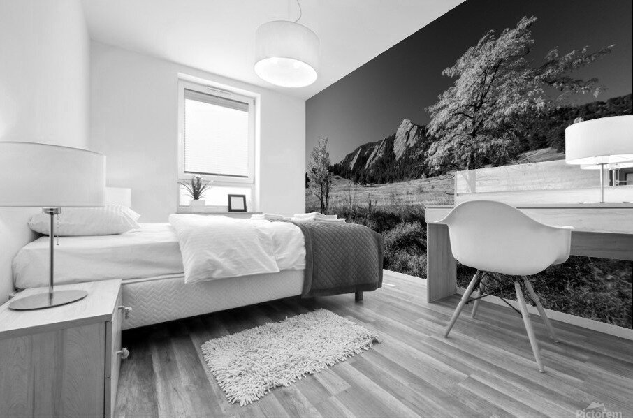 Boulder Colorado Flatirons Black White Mural print