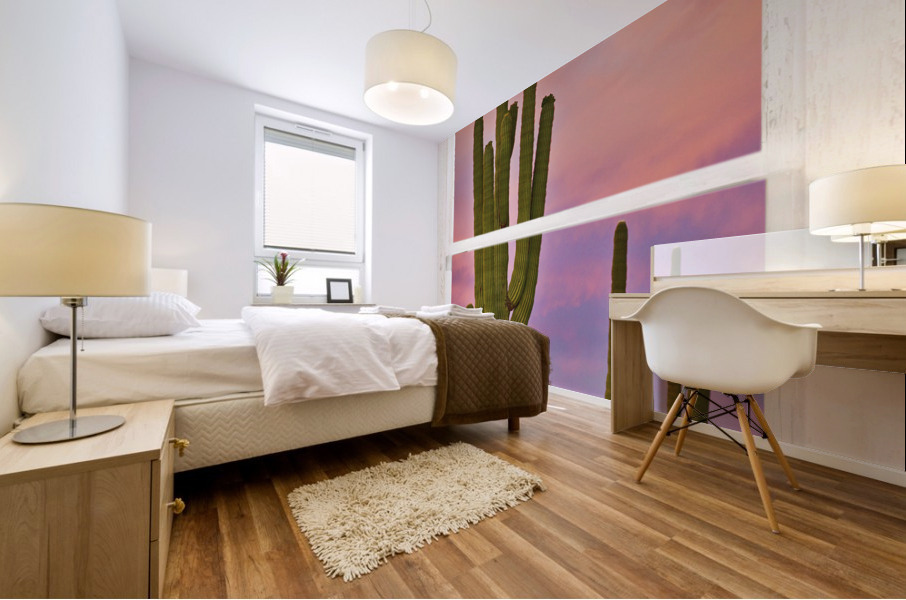 Colorful Southest White Distressed Window View Impression murale