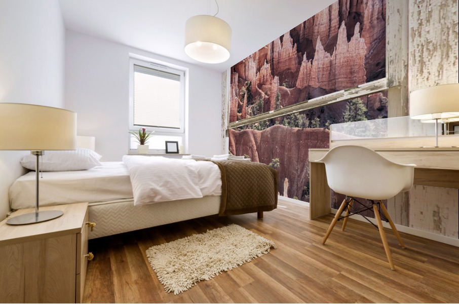 Bryce Canyon Utah View Through White Window Mural print