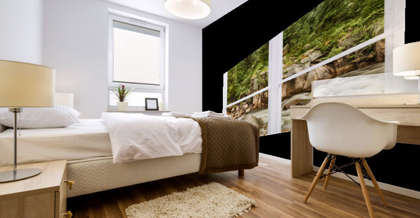 Mountain Stream Whitewash  Window View Mural print