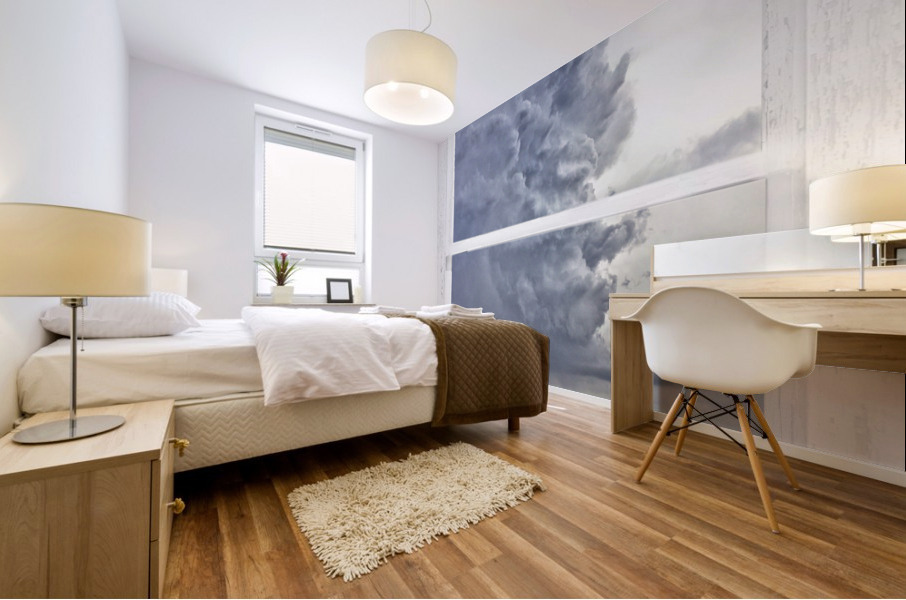 Western Storm Farmhouse Window View Mural print