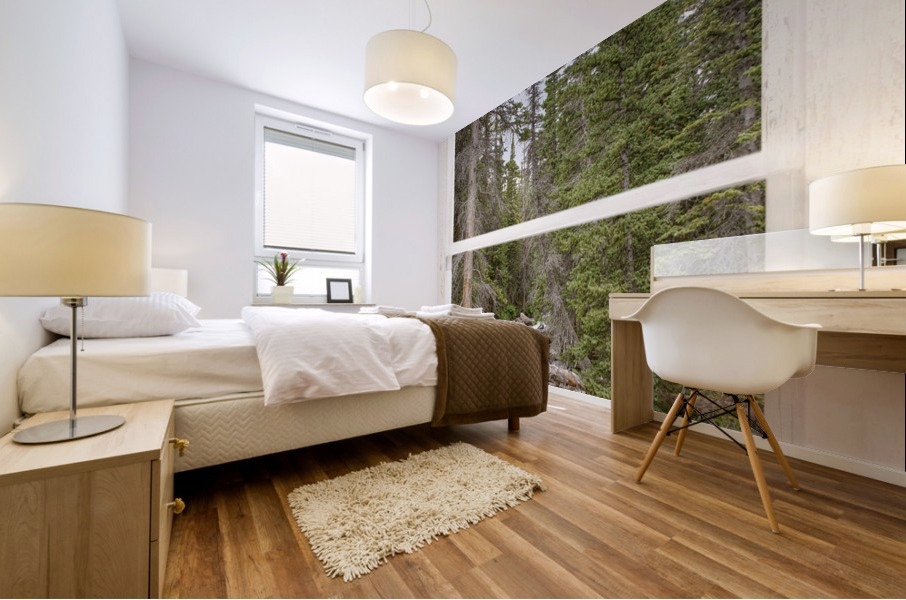 Rocky Mountain Stream White Rustic Window Impression murale