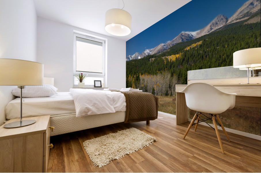 Indian Peaks Continental Divide Boulder Count Impression murale