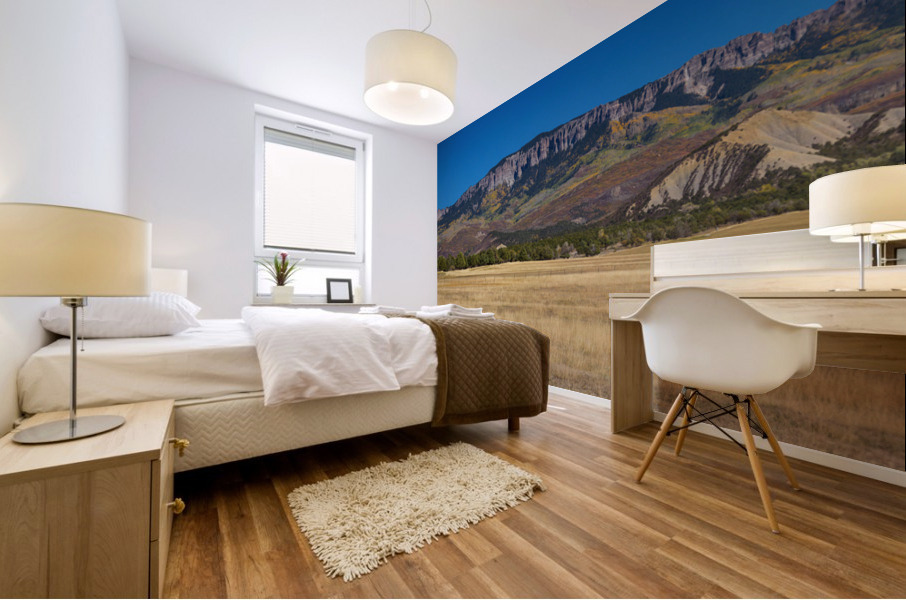 Telluride Panorama4 1 Mural print