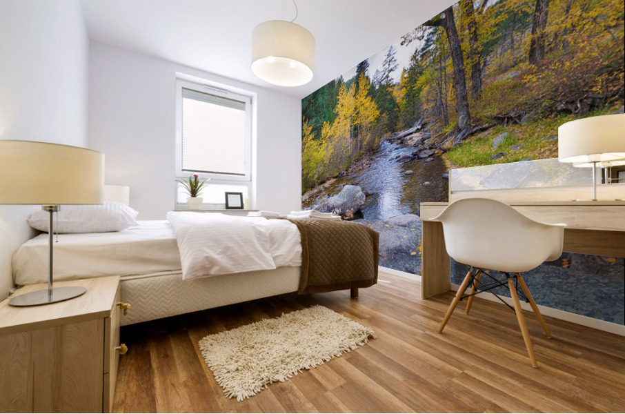 Colorado Autumn Creek Happy Place Panoramic Mural print
