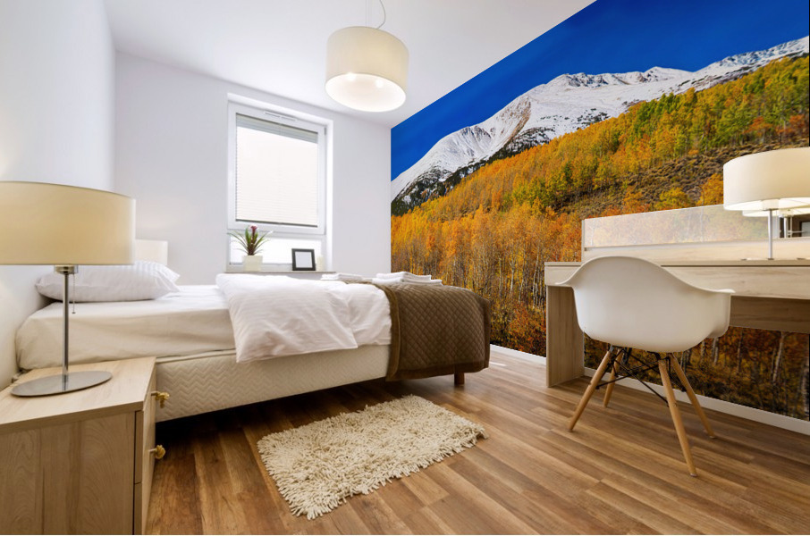 Colorado Rocky Mountain Independence Pass  Mural print