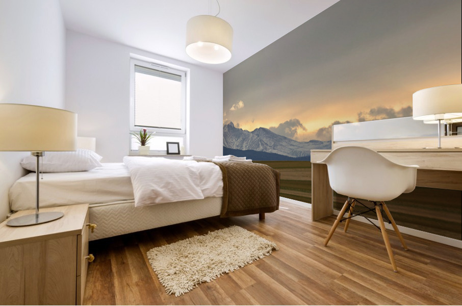 Twin Peaks Panorama View Agriculture Plains Mural print