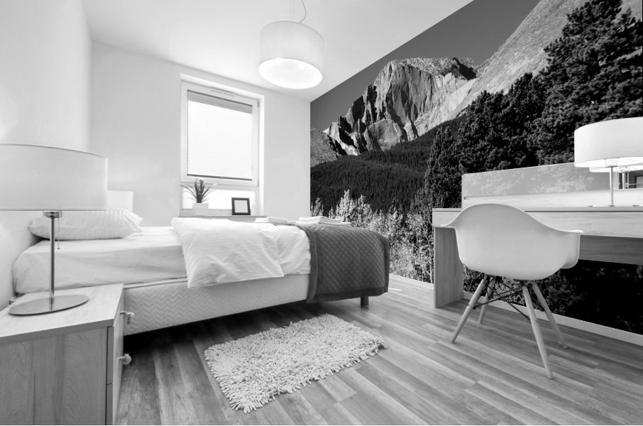 Longs Peak Autumn Aspen Landscape View BW Mural print