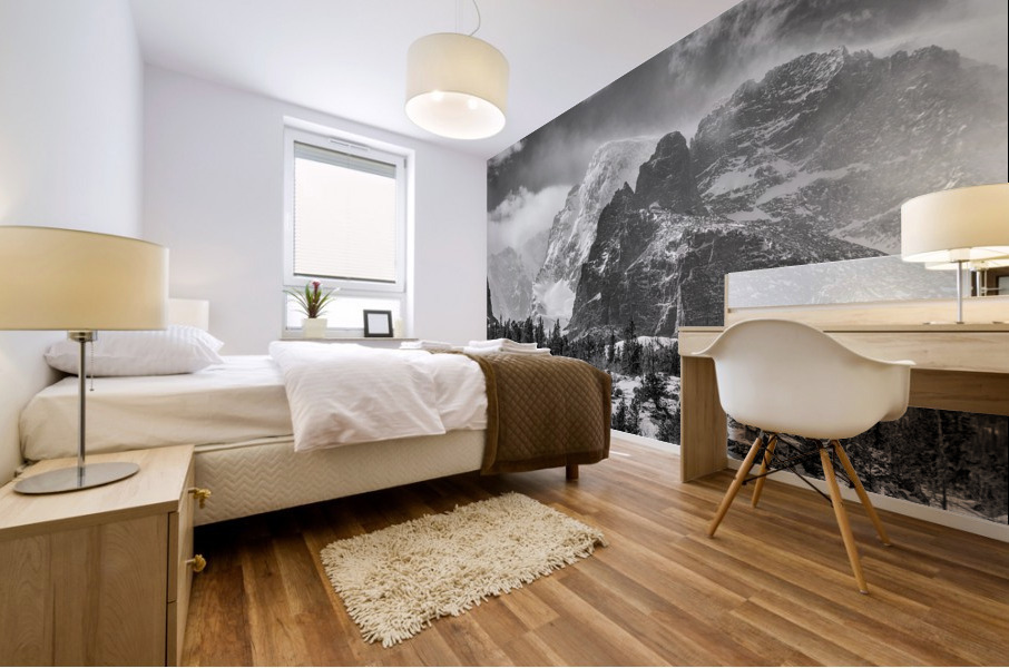 RMNP Gateway Rockies Black and White Mural print