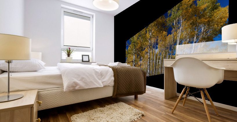 Autumn Blue Skies Mural print