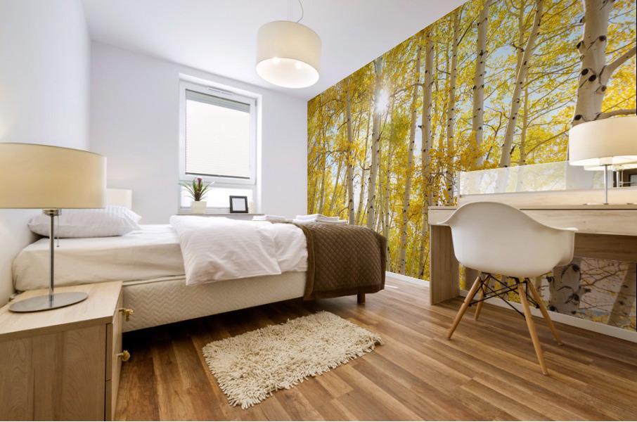 Golden Sunshine Autumn Day Impression murale