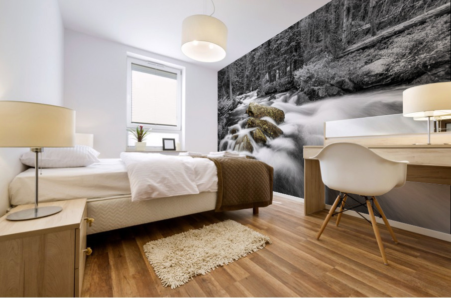 Roosevelt National Forest Stream BW Selective Mural print