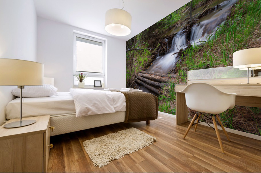 Creek Crossing Forest Woods Mural print