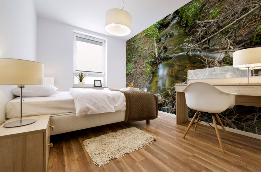 Wild Mushrooms Along Creek Impression murale