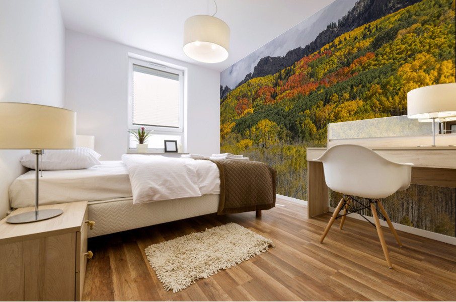 Colorado Kebler Pass Fall Foliage Mural print