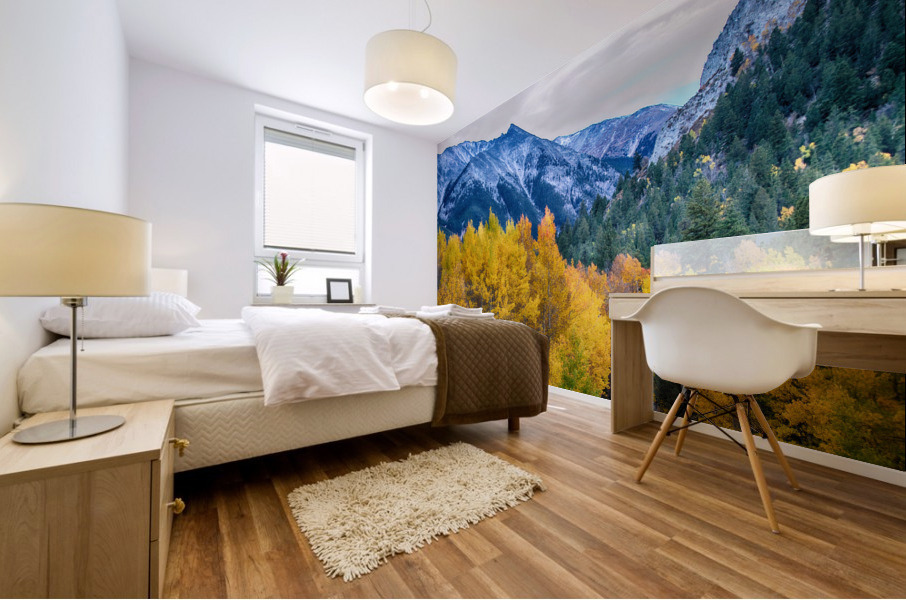 Colorful Crested Butte Colorado Impression murale