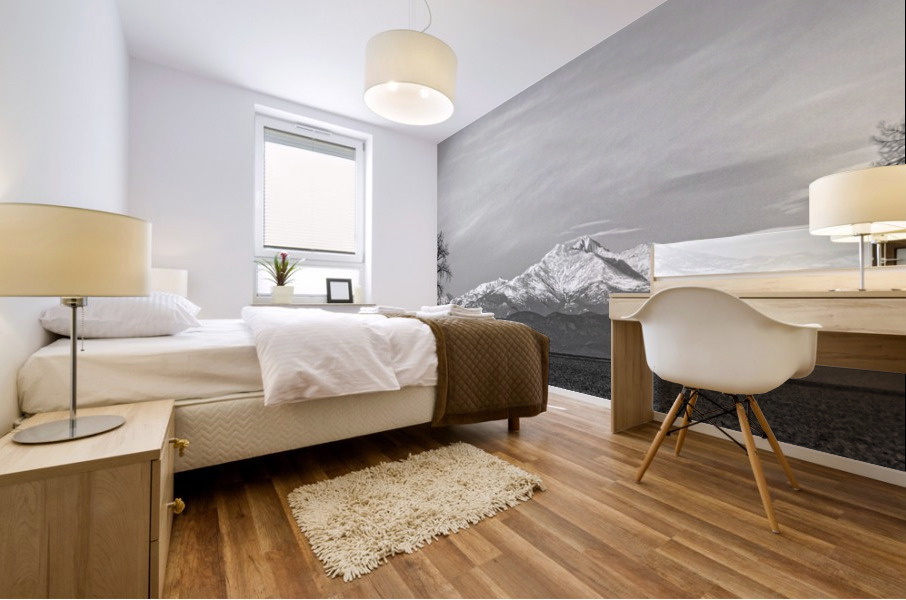 Twin Peaks Between The Trees BW Panorama Impression murale