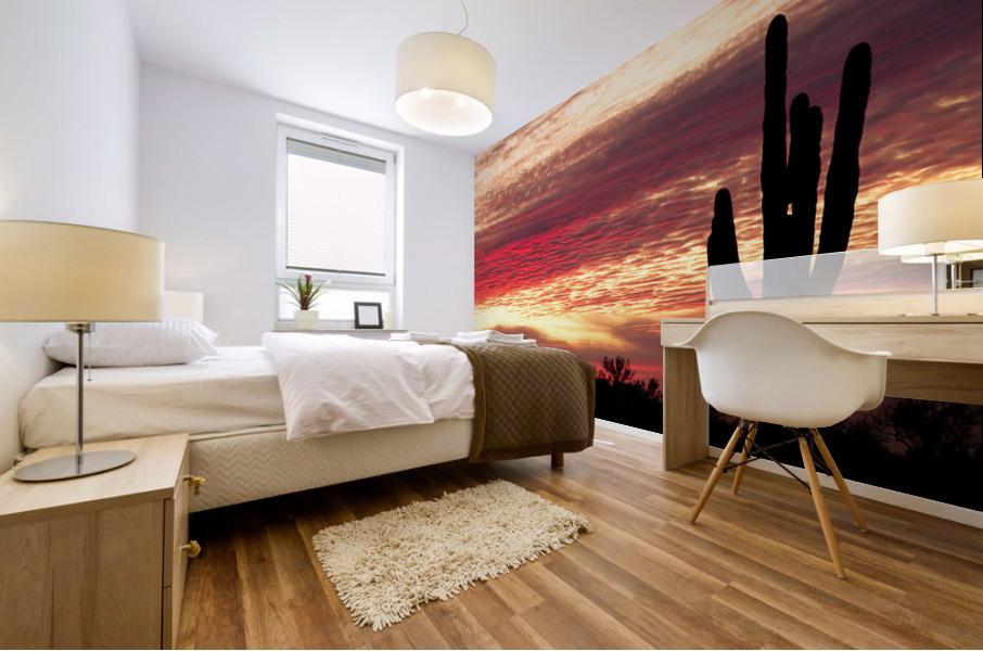 Tequila Sunrise Landscape Mural print
